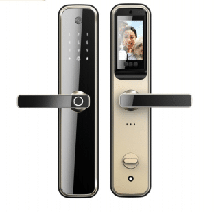 Biometric security locks